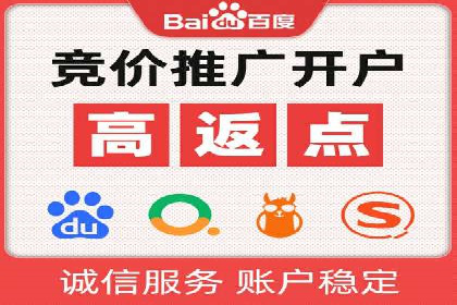 网络推广竞价实战案例分析集